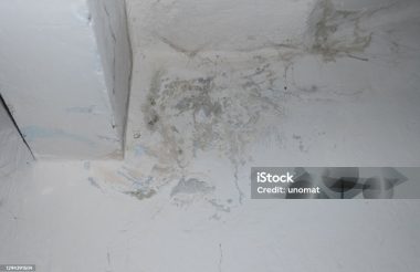 consequences of leaking roof in the old office room. consequences of leaking roof in the old office room.